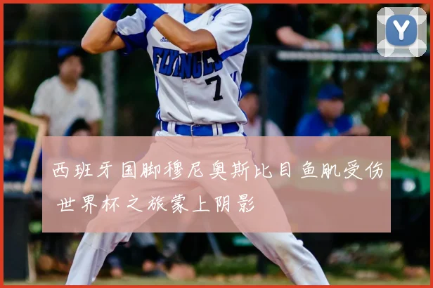 西班牙国脚穆尼奥斯比目鱼肌受伤 世界杯之旅蒙上阴影